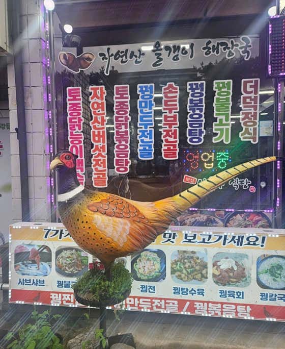 상록수식당 · 네이버 지도·플레이스 7