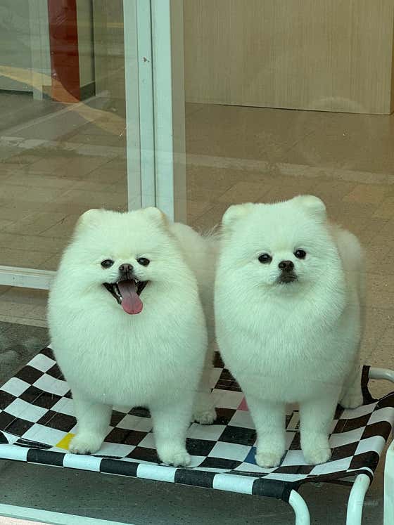 댕그루멍 · 네이버 지도·플레이스 7