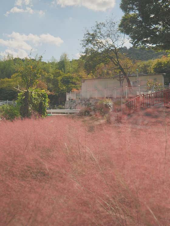 밀양9 · 네이버 지도·플레이스 10