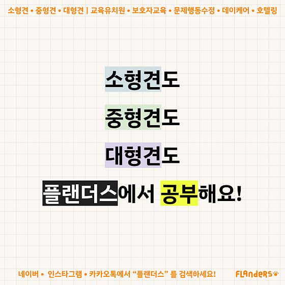 플랜더스 반려견 교육센터 애견훈련 애견유치원 애견호텔 · 네이버 지도·플레이스 2