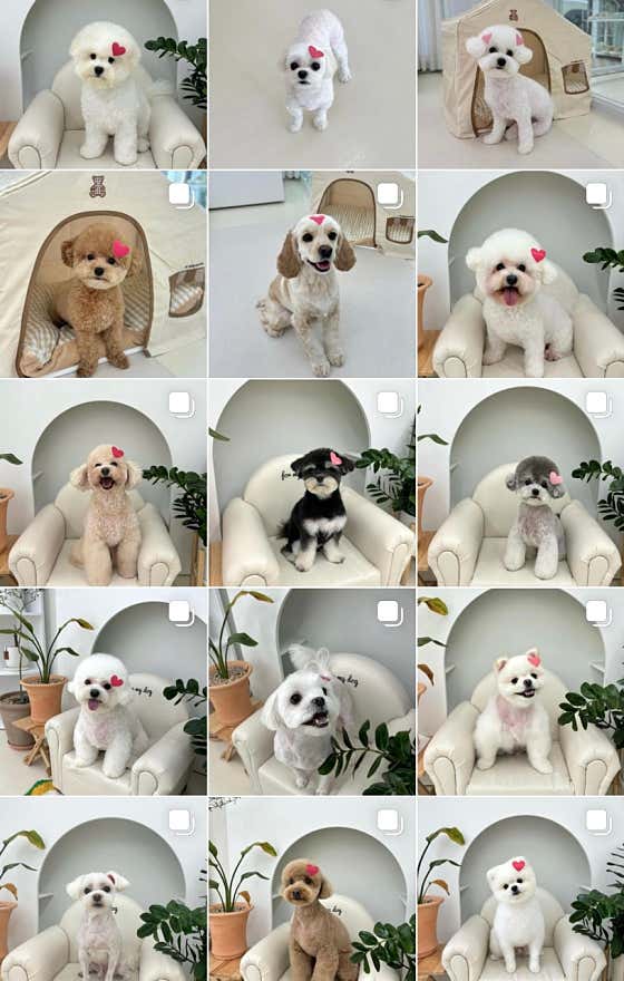 포마이독 · 네이버 지도·플레이스 5