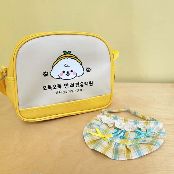 오독오독반려견유치원 · 네이버 지도·플레이스 5