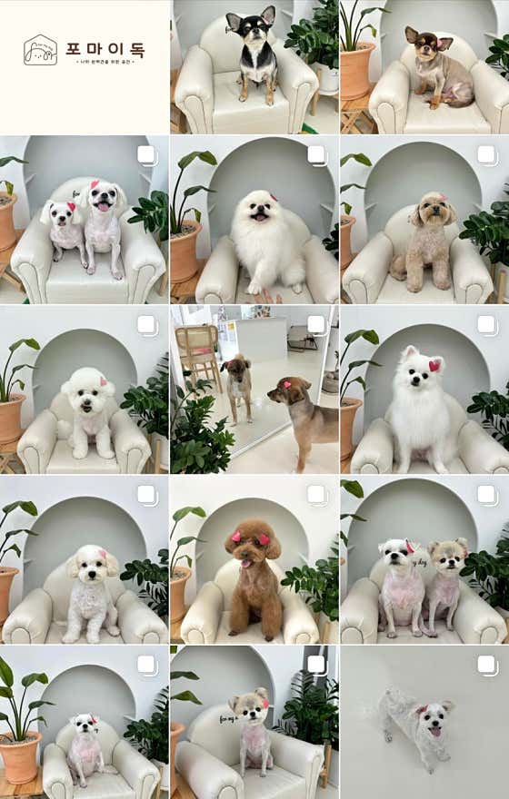 포마이독 · 네이버 지도·플레이스 4