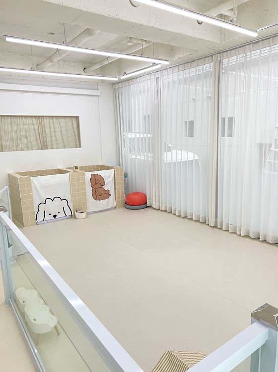 포마이독 · 네이버 지도·플레이스 9