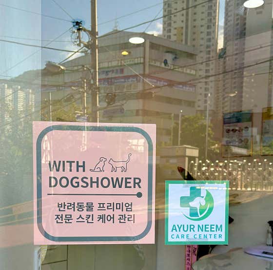 내 아이 멍멍 · 네이버 지도·플레이스 5