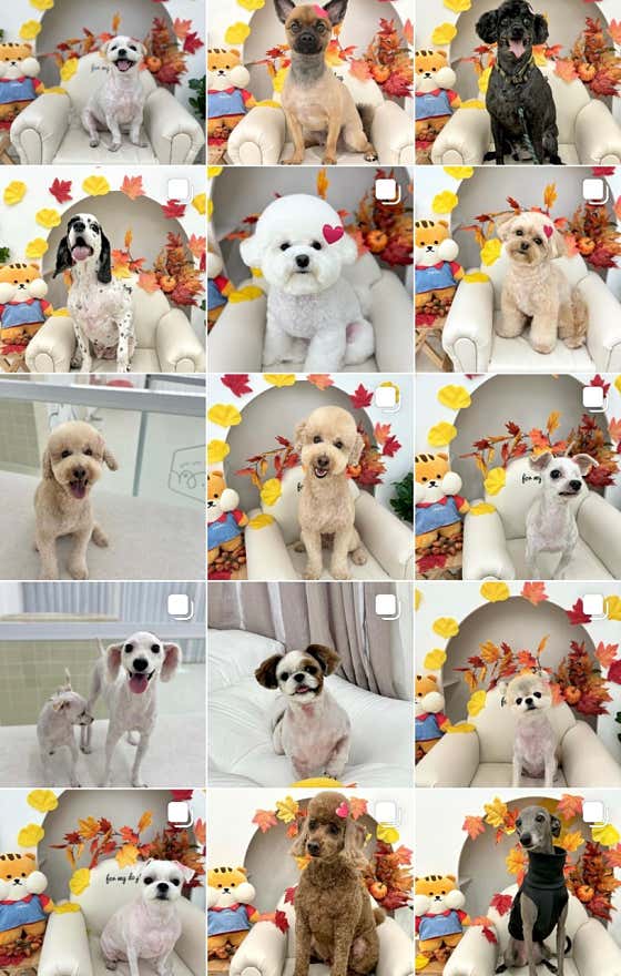 포마이독 · 네이버 지도·플레이스 6