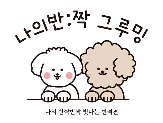 나의 반짝 그루밍