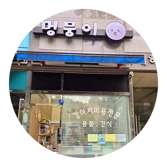 멍뭉이반려애견미용실 · 네이버 지도·플레이스 2