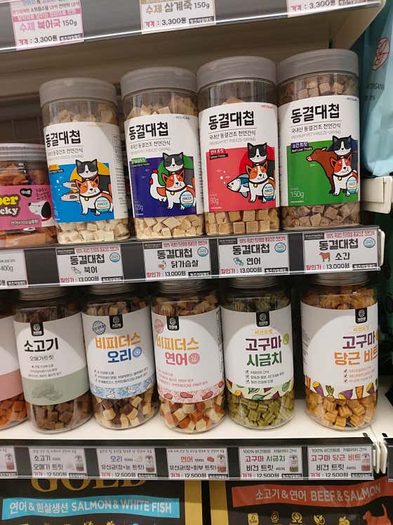 펫츠 아일랜드 진주혁신점 · 네이버 지도·플레이스 3