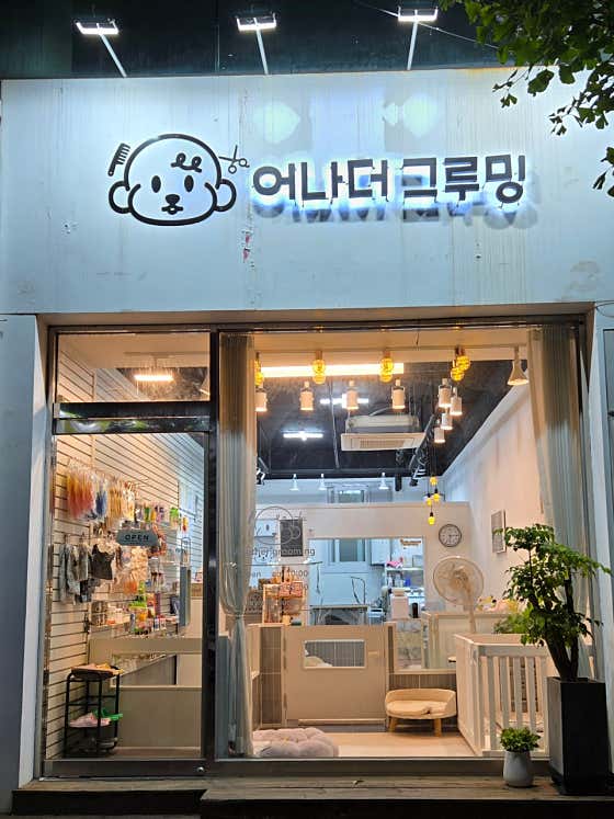 어나더그루밍 대표이미지