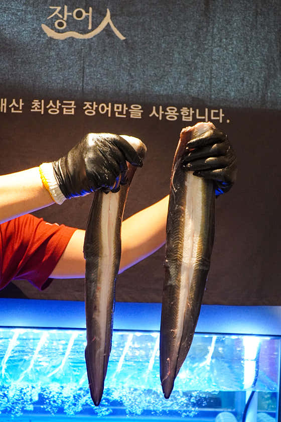 장어인 · 네이버 지도·플레이스 6
