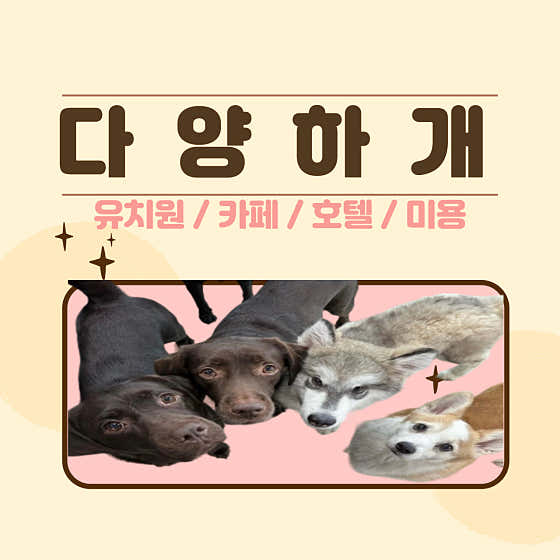 다양하개 애견유치원 · 네이버 지도·플레이스 2