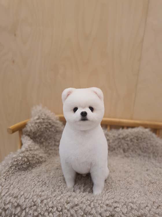 헬로멍멍 · 네이버 지도·플레이스 2
