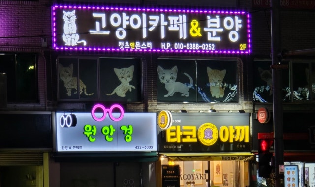 캣츠앤몬스터 고양이카페&분양 대표 사진