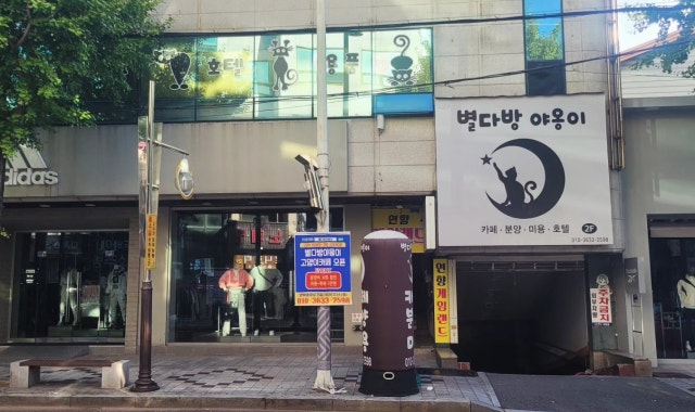 별다방야옹이 대표 사진