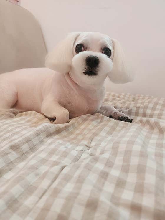 너애개만 · 네이버 지도·플레이스 7