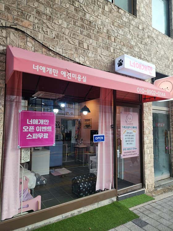 너애개만 · 네이버 지도·플레이스 5