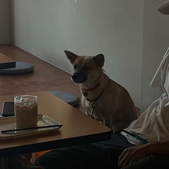카포커피클럽 · 네이버 지도·플레이스 10
