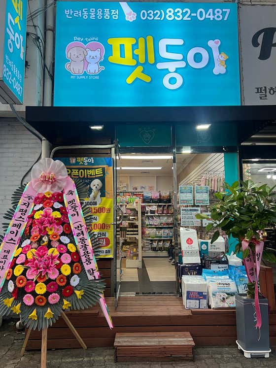 펫둥이