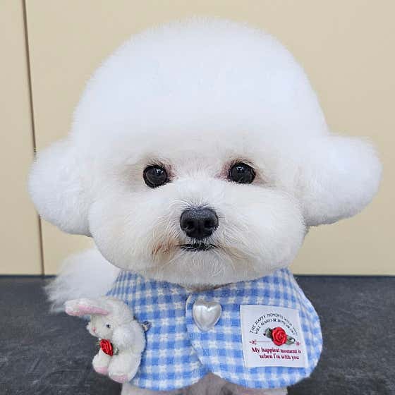 따뜻하개 · 네이버 지도·플레이스 8