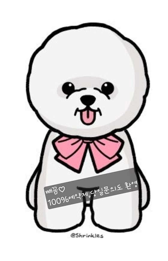남창 덕신 애견샵 빼꼼 강아지미용실 대표이미지