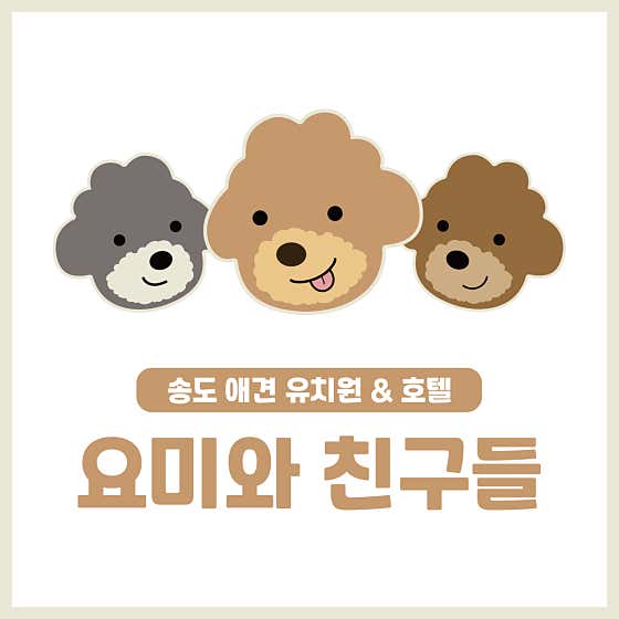 요미와 친구들 애견유치원&애견호텔 대표이미지