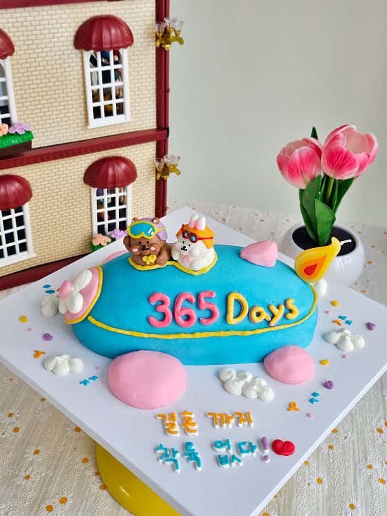 시그니쳐 비행기 케이크(2~4호) 메뉴 사진(네이버)