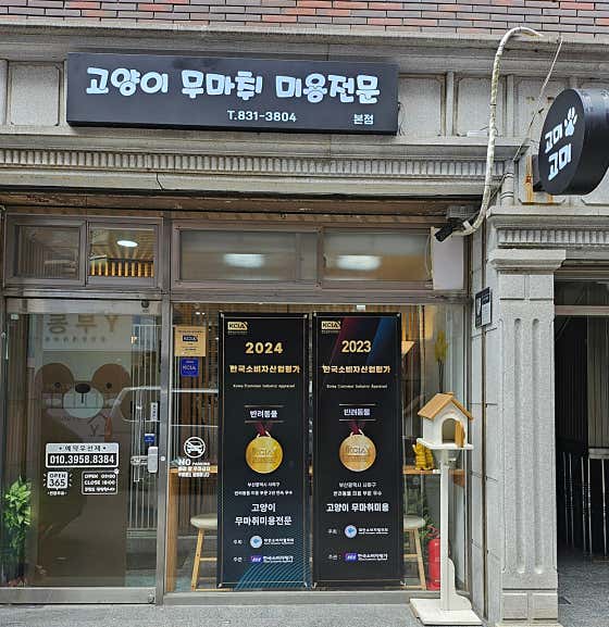고양이무마취미용전문