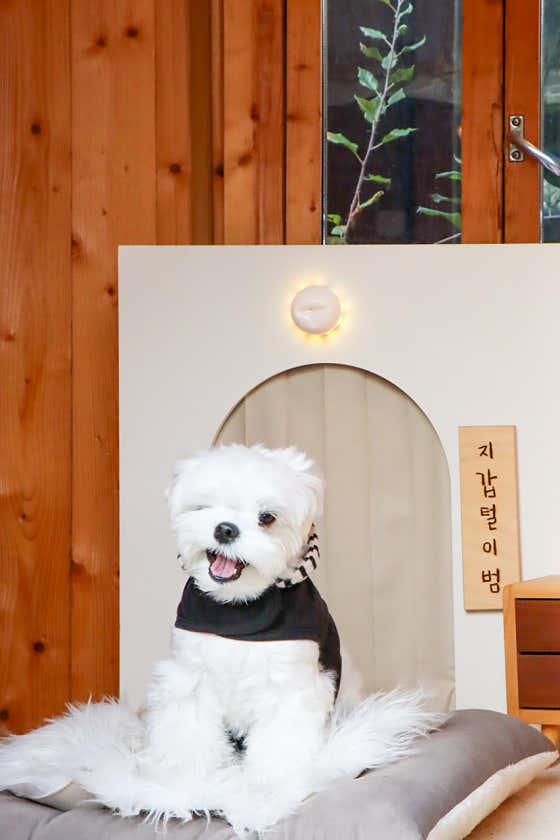 장안 감골가든 · 네이버 지도·플레이스 4
