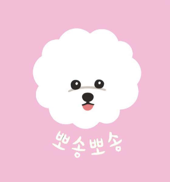 뽀송뽀송강아지미용실 대표이미지