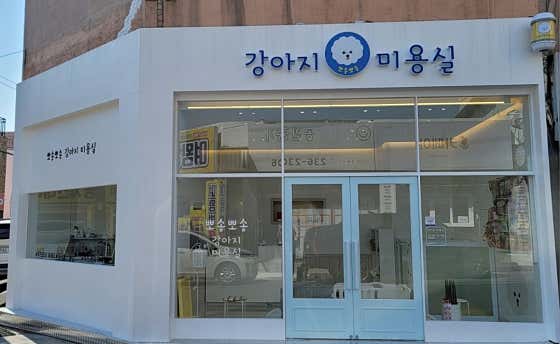 뽀송뽀송강아지미용실 · 네이버 지도·플레이스 2