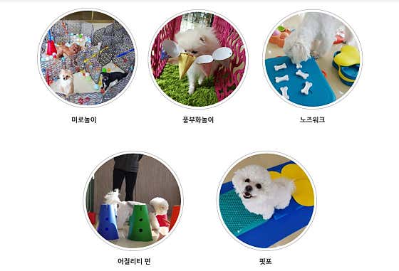 포레스트펫 · 네이버 지도·플레이스 6