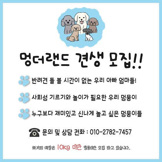 멍더랜드 · 네이버 지도·플레이스 3