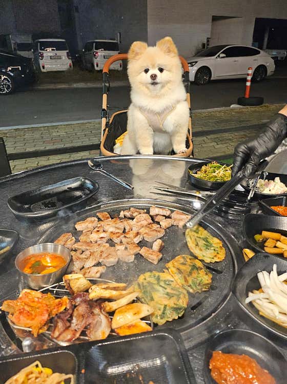 돈화돈 본점 · 네이버 지도·플레이스 8