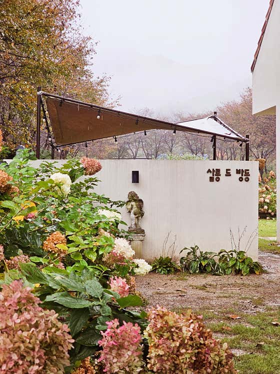 살롱드방동