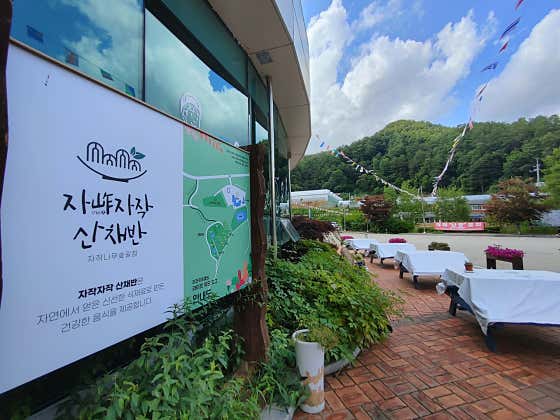 리조트&캠핑 라이프위드도그 대표이미지
