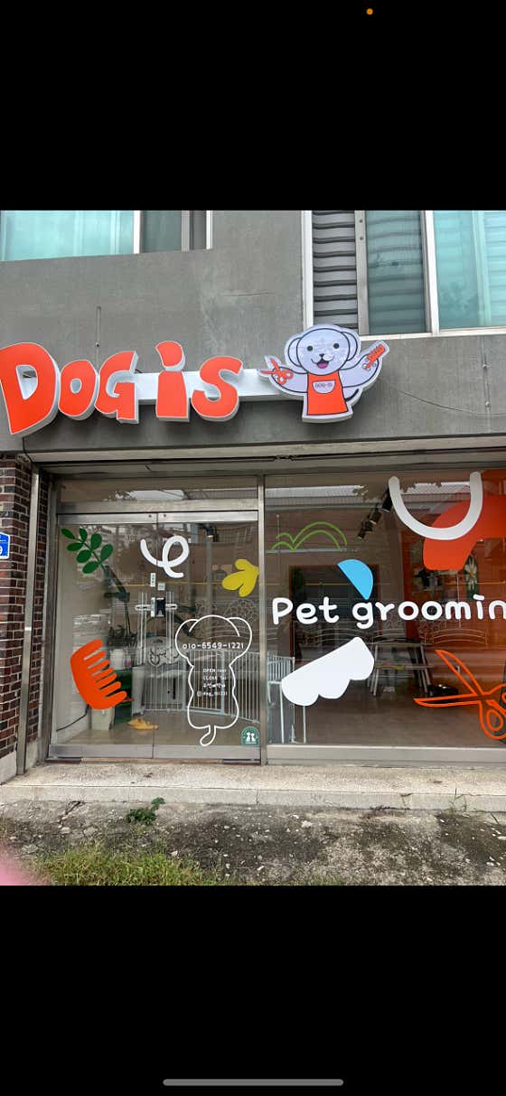 DOG IS