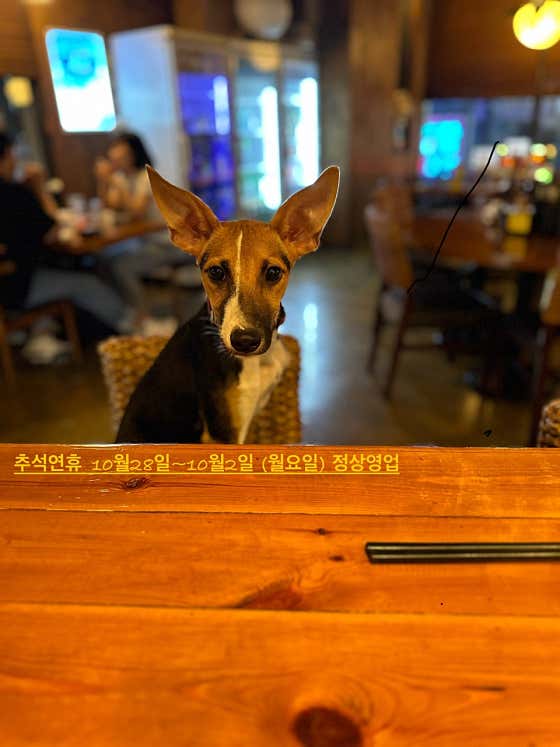 오츠카레 달그네 · 네이버 지도·플레이스 5