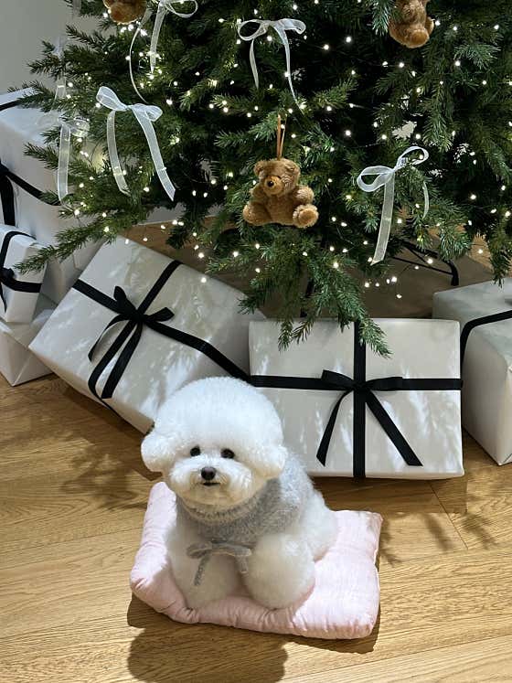 쉐어쉐어파이샵 · 네이버 지도·플레이스 9