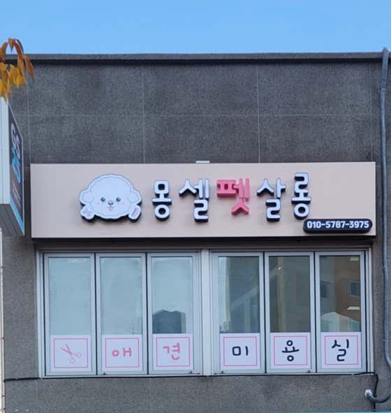 몽셀펫살롱 · 네이버 지도·플레이스 2