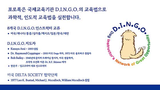 포로록 애견훈련 애견유치원 애견호텔 · 네이버 지도·플레이스 8