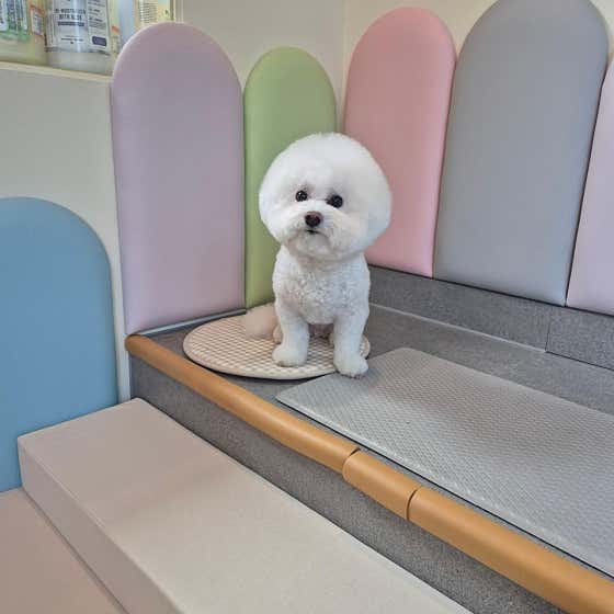 빛날개 · 네이버 지도·플레이스 3