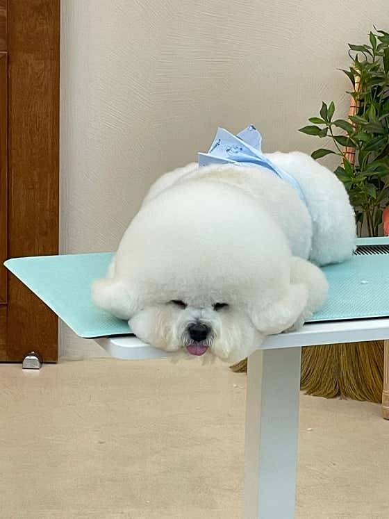 복희쌀롱