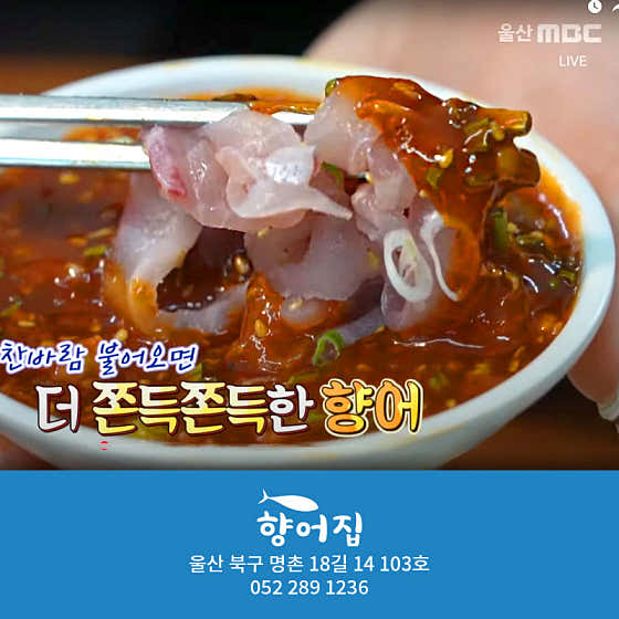 향어집 · 네이버 지도·플레이스 5