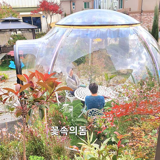 나루카페 · 네이버 지도·플레이스 2