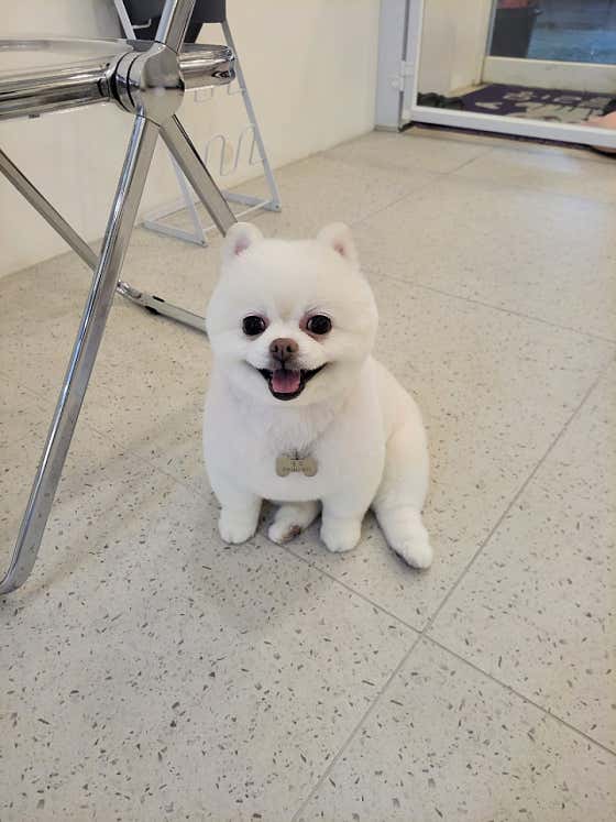 러블리몽 · 네이버 지도·플레이스 9
