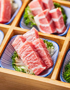 골드참치 사진 5