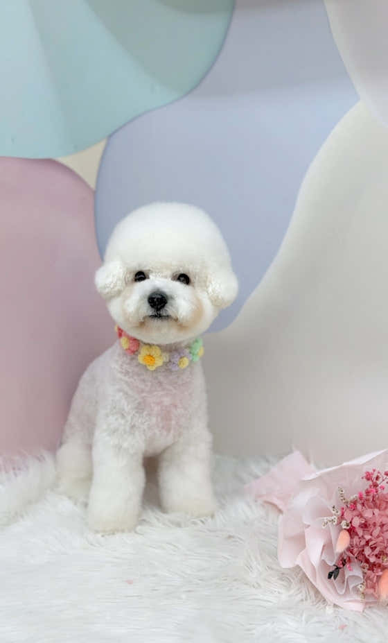 뚜뚜멍멍 · 네이버 지도·플레이스 6