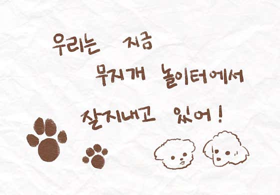 바니펫 · 네이버 지도·플레이스 3