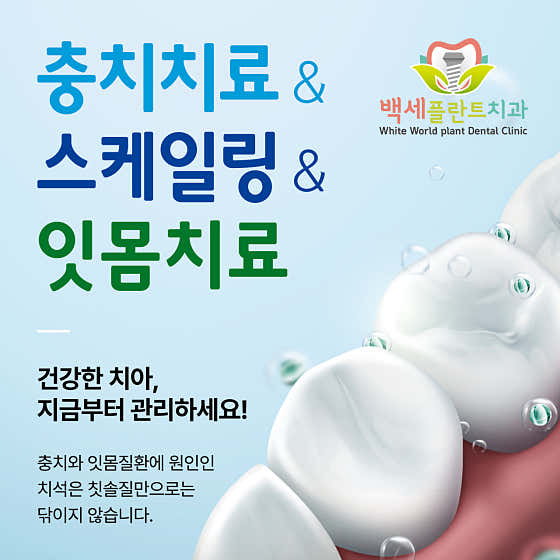 가정백세플란트치과의원 — 네이버 플레이스 업체 등록 사진 3